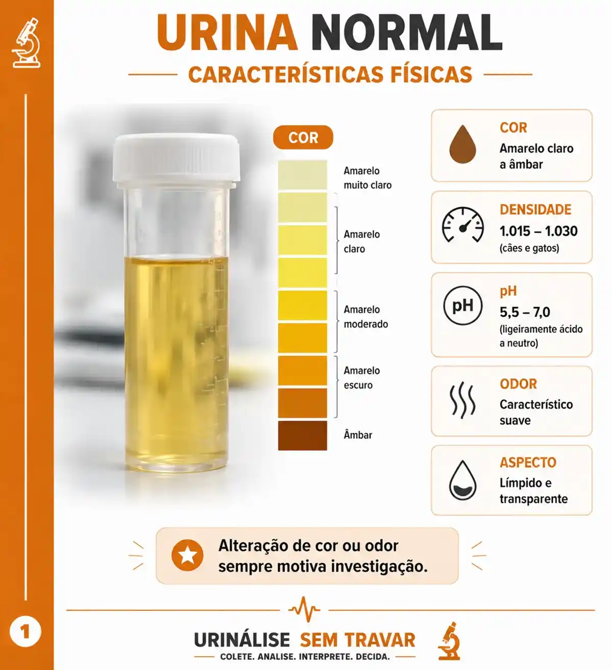 Características físicas
